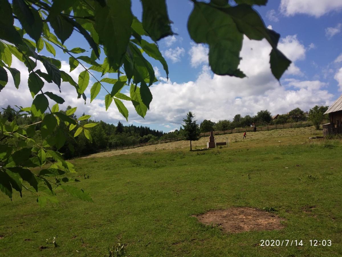 Cabana Belis Dealu Negru Esterno foto